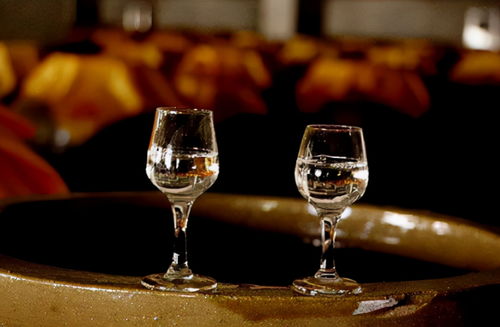 別錯(cuò)過！3款好喝不貴的平民糧食酒，遇到多買幾箱